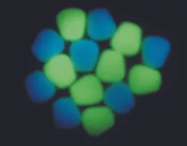 enterprise-tackle-niteglow-corn-neon-green-sztuczna-kukurydza