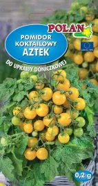 pomidor-gruntowy-aztek-02-g-polan
