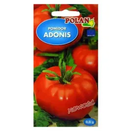pomidor-adonis-05g-polan