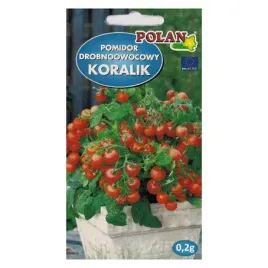 pomidor-drobnoowocowy-koralik-02g-polan