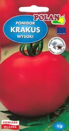 pomidor-gruntowy-krakus-1g-polan
