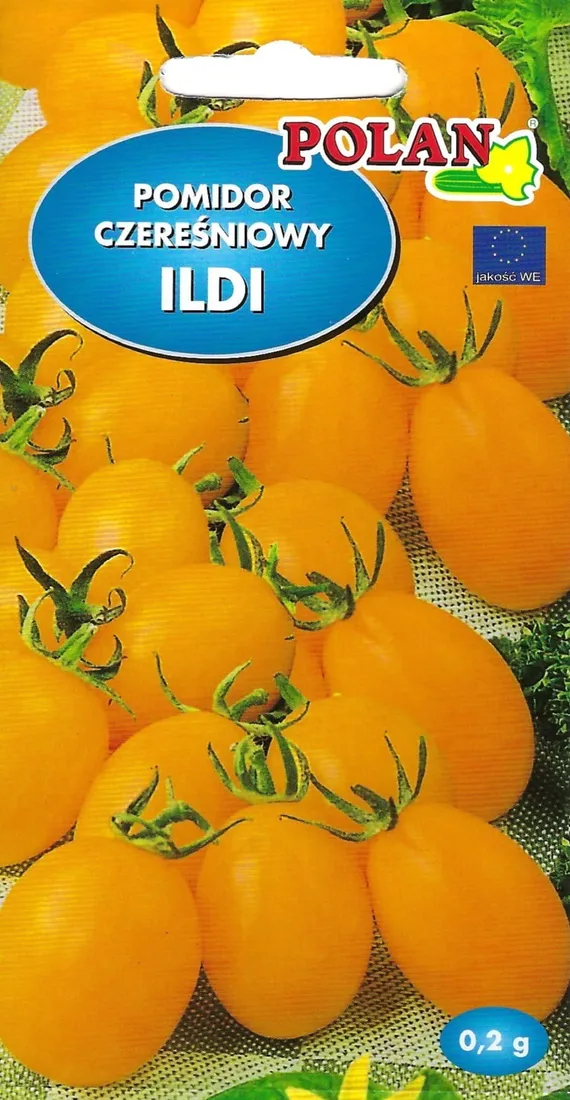 pomidor-ildi-02g-polan