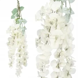 wisteria-wiszaca-glicynia-gesta-zwis-pnacze-xxl-6-pedow-110cm