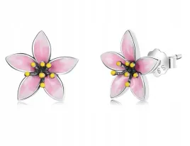 kolczyki-srebrne-wkretki-kolczyki-srebro-925-kolczyki-sztyfty-kwiatki