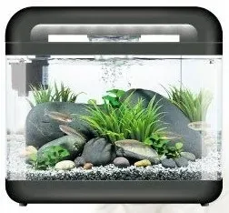 invital-easytank-cascade-led-17-litrow-czarna