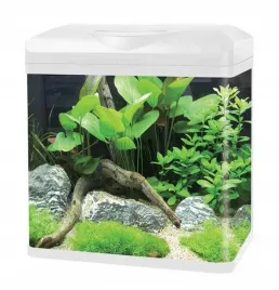 invital-easytank-pro-led-16l-bialy