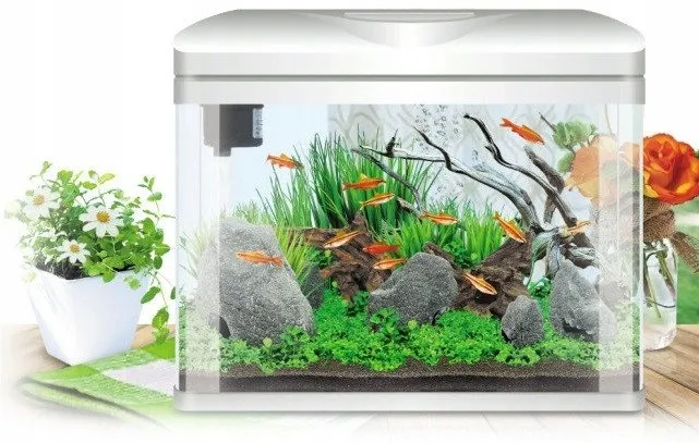 invital-easytank-pro-led-16l-bialy-stan-opakowania-oryginalne
