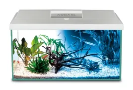 akwarium-60x30x40-72l-prosty-bialy-pokrywa-aquael-leddy-dzien-noc