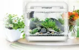 invital-easytank-cascade-led-17-litrow-bialy-stan-nowy