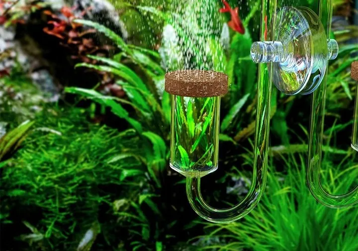 invital-komputer-ph-z-sonda-typ-wyrobu-medycznego-wyposazenie-wyrobu-medycznego-lub-produkt-niemajacy-przewidzianego-zastosowania-medycznego