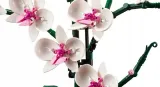 lego-creator-orchidea-10311-marka-inna