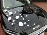 dekoracja-samochodu-ozdoby-na-auto-do-slubu-platki-stan-nowy-kolor-dominujacy-inny