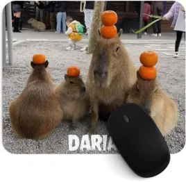 podkladka-pod-mysz-kapibara-z-twoim-napisem-imieniem-dedykacja