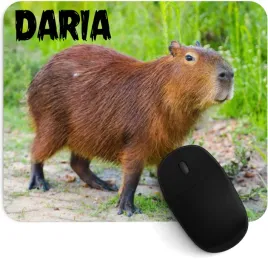 podkladka-pod-mysz-kapibara-z-twoim-napisem-imieniem-dedykacja