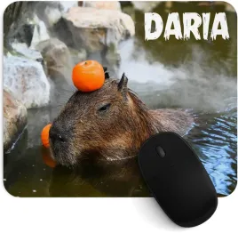 podkladka-pod-mysz-kapibara-z-twoim-napisem-imieniem-dedykacja