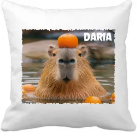 personalizowana-kapibara-z-twoja-dedykacja