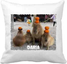 personalizowana-kapibara-z-twoja-dedykacja