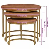nesting-stoly-kawowe-3-pcs-lite-drewno-mango-i-stal-stan-nowy-kolor-mebla-roz