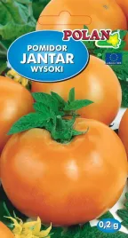 pomidor-gruntowy-jantar-02g-polan