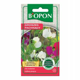 biopon-groszek-pachnacy-wielokolorowy-roslina-pnaca-nasiona-kwiatow
