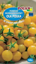 pomidor-ola-polska-02g-polan