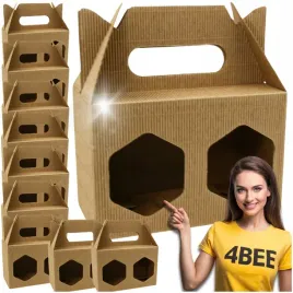 komplet-10-sztuk-opakowan-z-raczka-na-2-miody-2x430ml-z-tektury-falistej