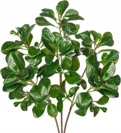 galazki-sztuczne-peperomia-69-cm-3-szt-dekoracyjne-zielone-liscie