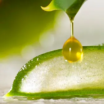 krem-tabaibaloe-antiwrinkle-100ml-do-twarzy-professional