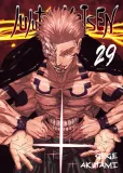 jujutsu-kaisen-tom-29