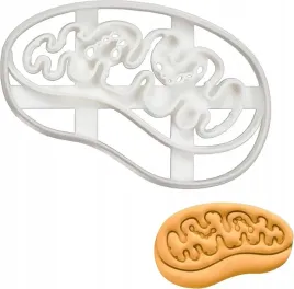 foremka-do-ciastek-w-ksztalcie-mitochondriow-plastikowa-94-cm-x-6-cm