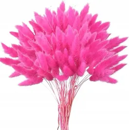trawa-suszona-ozdobna-bukiet-do-wazonu-40-cm-60-galazek
