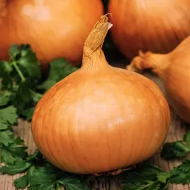 cebula-ailsa-craig-nasiona-warzyw-srednio-wczesna-duze-okragle-cebule