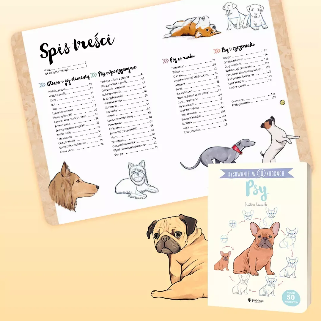 rysowanie-w-10-krokach-psy-stan-nowy