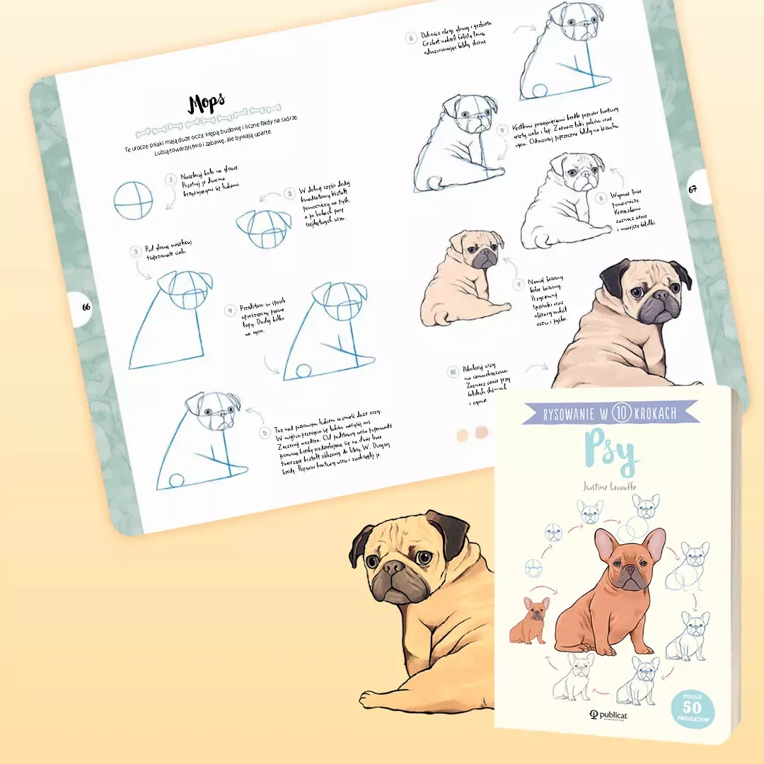 rysowanie-w-10-krokach-psy-stan-nowy