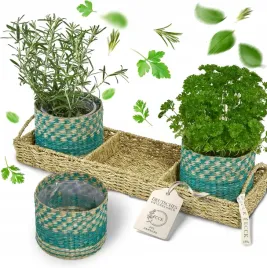 doniczka-na-ziola-zestaw-3-szt-z-trawy-morskiej-zielone-zielony-parapet