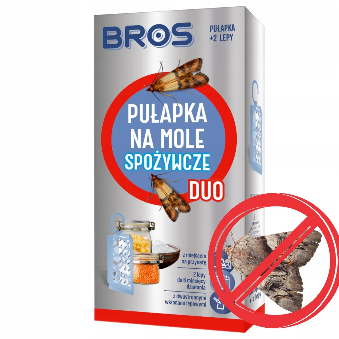 pulapka-przeciwko-molom-bros