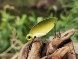 cykada-germina-green-beetle-45-g