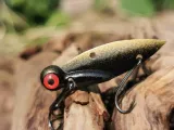 cykada-germina-river-shadow-65-g