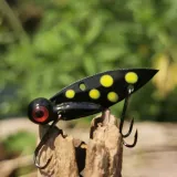 cykada-germina-tiger-beetle-65-g