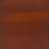 ploty-slimakowe-12-pcs-rdzawy-stan-nowy-producent-vidaxl