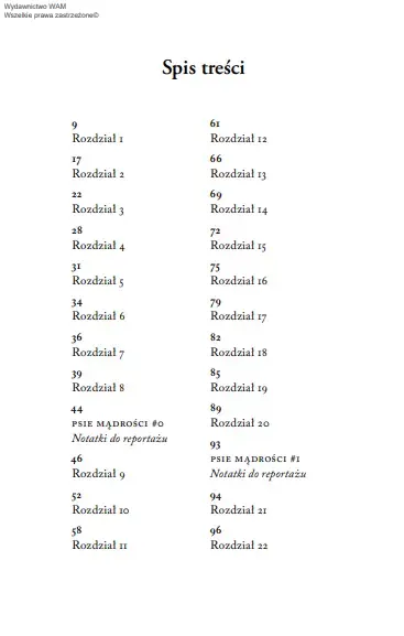 musze-cie-odnalezc-rok-wydania-2025