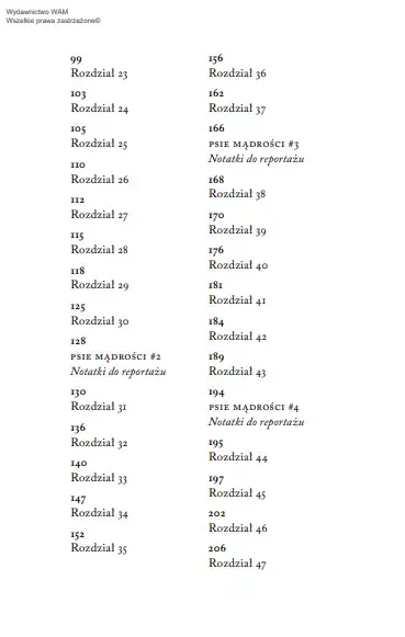 musze-cie-odnalezc-jezyk-polski