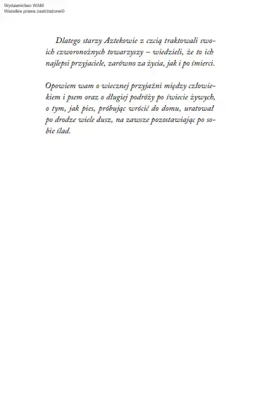 musze-cie-odnalezc-stan-nowy-wydawnictwo-mando