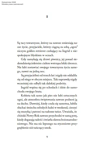 musze-cie-odnalezc-stan-nowy-okladka-inna