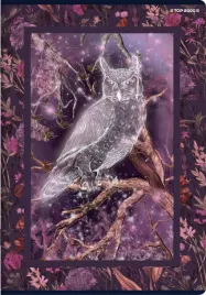 zeszyt-a5-60k-kratka-fairytale-top-fol-a-10