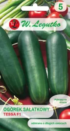 ogorek-do-uprawy-w-gruncie-i-pod-oslonami-salatkowy-tessa-f1
