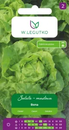 salata-glowiasta-maslowa-bona-zoltawozielona-wczesna