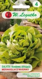 salata-meraviglia-d-inverno-nasiona-15-g-zimujaca
