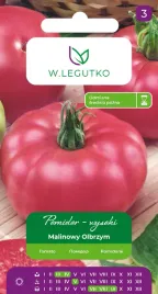pomidor-malinowy-olbrzym-1g-legutko-duze-soczyste-owoce