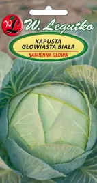 kapusta-glowiasta-biala-kamienna-glowa-pozna-nasiona